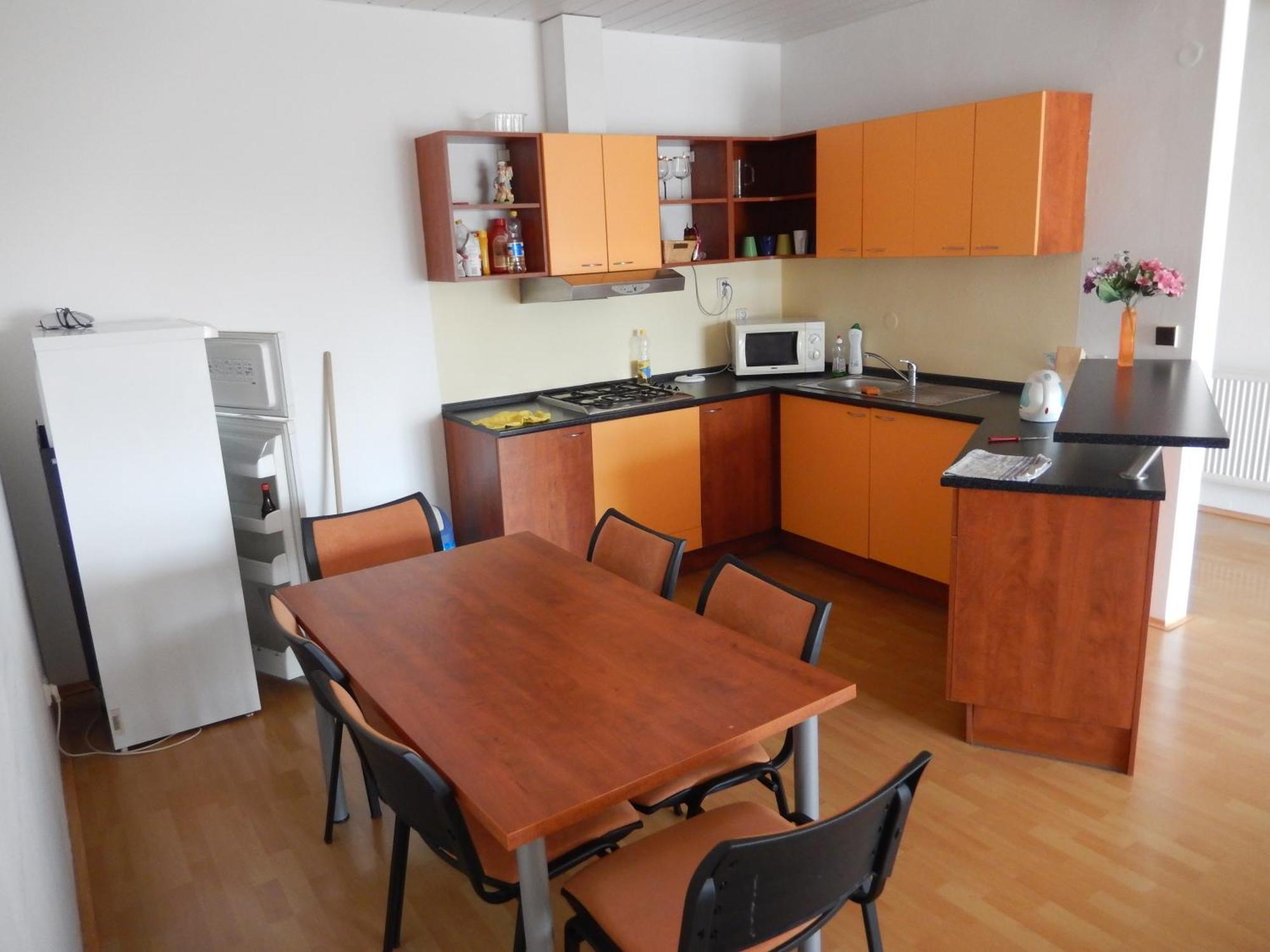Penzion Kaplna 部屋 写真